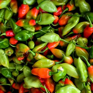 Pimento Peppers