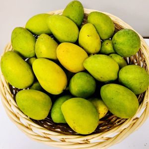 Mingolo Mango