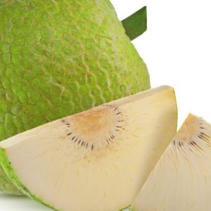 Breadfruit